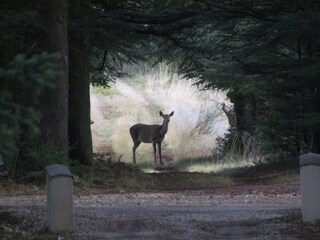 Apartamento Montbrun-les-Bains Entorno 32