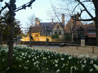 Appartement de vacances Bredene Environnement 27