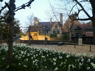 Vakantieappartement Bredene Omgeving 27