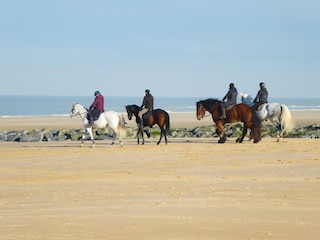 Bredene strand