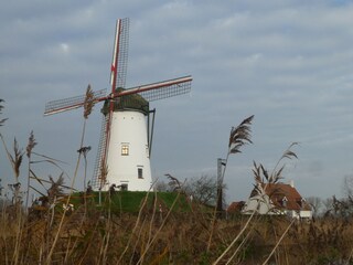 Appartement de vacances Bredene Environnement 28