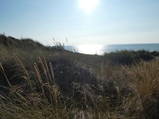 Vakantieappartement Bredene Omgeving 23