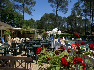 Holiday park Saint-Julien-en-Born Environment 21