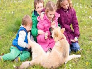 Holiday park Saint-Julien-en-Born  37
