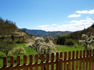 Ferienhaus Saint-Privat-d'Allier Außenaufnahme 6