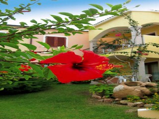 Parc de vacances Badesi Enregistrement extérieur 11