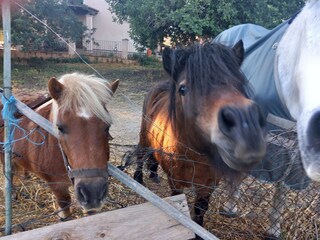 Tenuta Bunyola Registrazione all'aperto 13