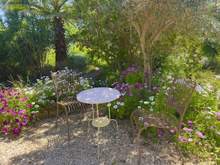 Finca Bunyola Outdoor Recording 17