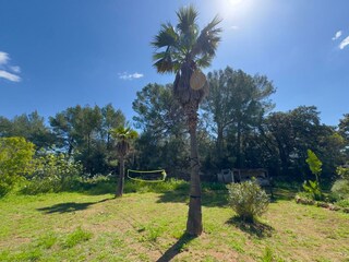 Tenuta Bunyola Ambiente 31