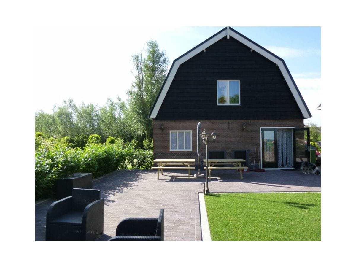 The garden and house from the rear