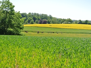 mit dem Rad durch die Natur