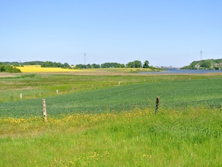in der Ferne Maasholm