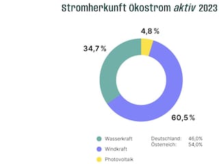 100% Ökostrom