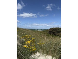 Weststrand Düne