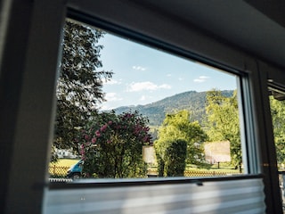 Ausblick