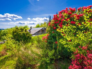 Ca. 300 m² großes abgeschlossenes Hanggrundstück