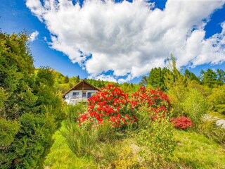 Ca. 300 m² großes abgeschlossenes Hanggrundstück