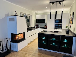 Traumküche mit Induktion, Geschirspüler, Mikrowelle ...