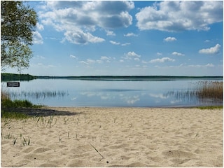 Sandstrand 60 Meter vor dem Ferienhaus