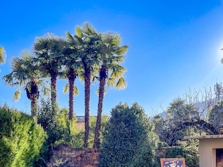 Sitzmöglichkeit im Garten