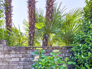 Ausschnitt vom Grundstück