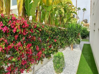 Villa San Fulgencio Buitenaudio-opname 18
