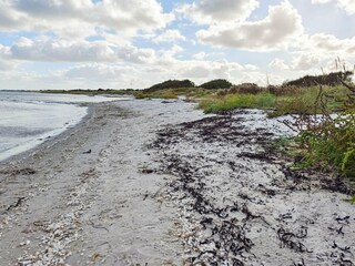 Vakantiehuis Als  21