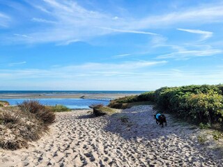 Vakantiehuis Als  29