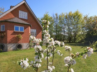 Vakantiehuis Als  14