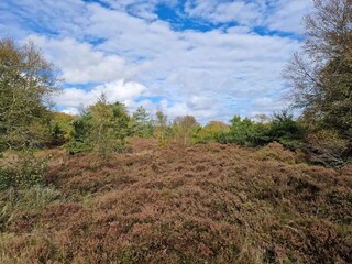 Vakantiehuis Als  29