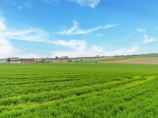 Maison de vacances Kemmel Environnement 33