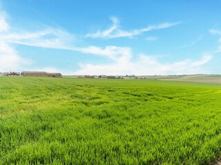 Holiday house Kemmel Outdoor Recording 13