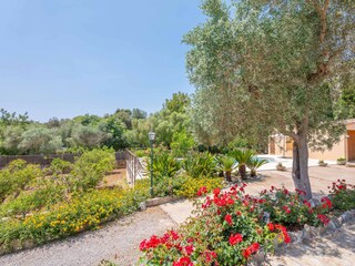 Villa Pollensa  47