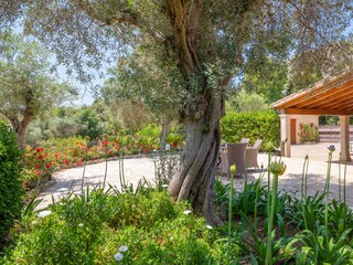 Villa Pollensa Buitenaudio-opname 22