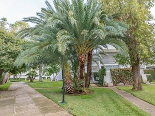 Apartment Alcudia Außenaufnahme 7