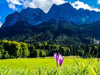 Appartamento per vacanze Grainau Ambiente 35