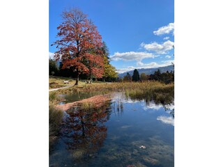 Appartamento per vacanze Grainau Registrazione all'aperto 4