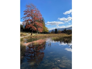 Herbststimmung, Gästefoto