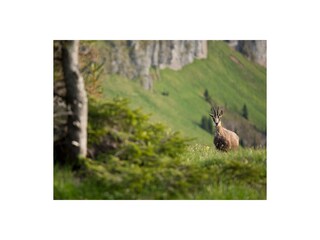 Appartamento per vacanze Grainau Ambiente 23