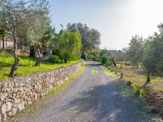 Villa Pollensa Registrazione all'aperto 23