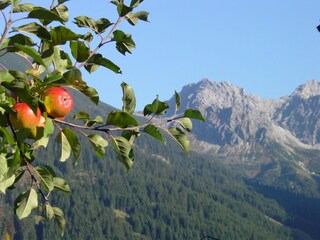 Appartamento per vacanze Riezlern Ambiente 12