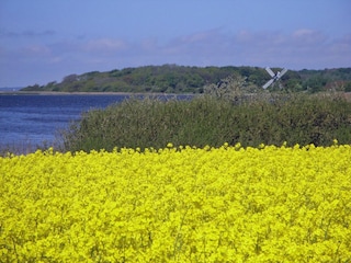 Casa de vacaciones Kosel  7