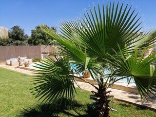 Villa Sineu Enregistrement extérieur 10