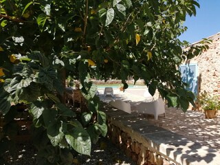 Villa Sineu Buitenaudio-opname 11