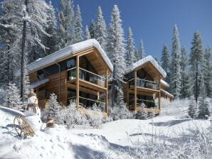 Parc de vacances Superior-Chalet mit Sauna und Whirlpool
