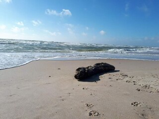 Maison de vacances Ringkøbing  37