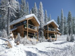 Parc de vacances Chalet de charme avec sauna finlandais - Murau - image1