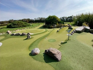 Ferienhaus Ringkøbing  16