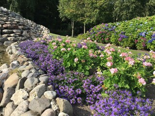 Casa de vacaciones Ringkøbing  21