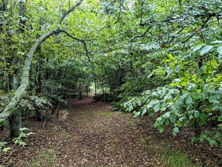 Casa de vacaciones Ringkøbing  17